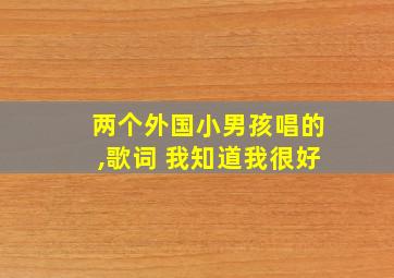 两个外国小男孩唱的,歌词 我知道我很好